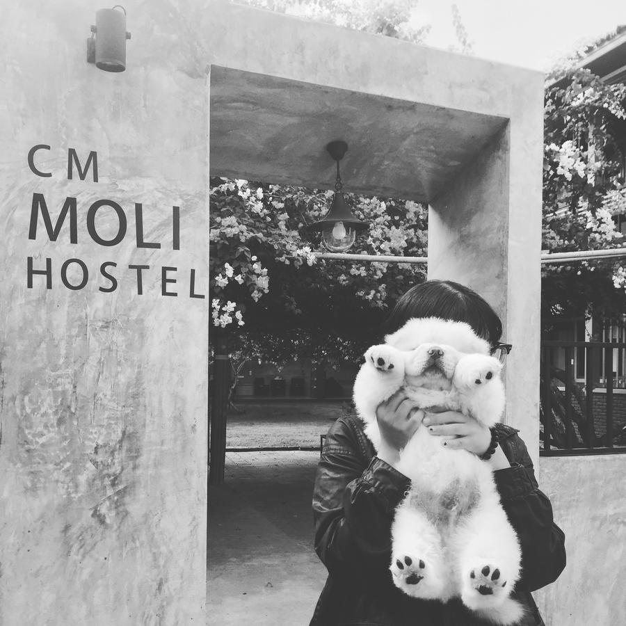 Chiangmai Moli Inn (Adults Only) Chiang Mai Ngoại thất bức ảnh