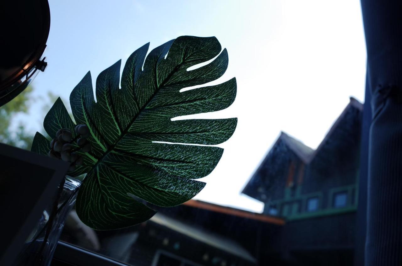 Chiangmai Moli Inn (Adults Only) Chiang Mai Ngoại thất bức ảnh